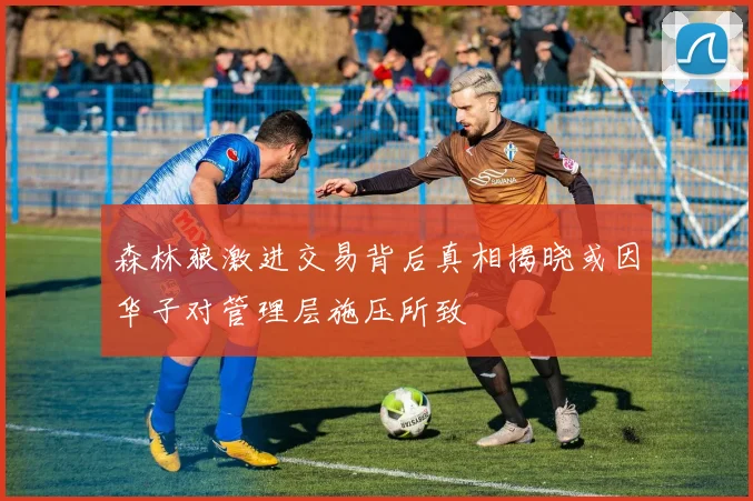 森林狼激进交易背后真相揭晓或因华子对管理层施压所致