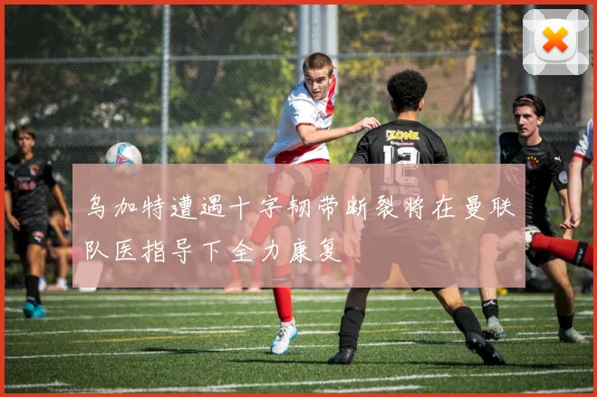 乌加特遭遇十字韧带断裂将在曼联队医指导下全力康复