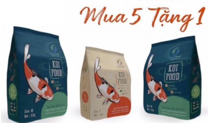 269766826 200402162302099 2830404063171458803 n 1